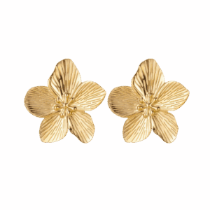 Aretes Lucía