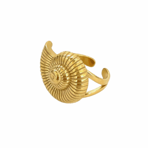 Anillo Bahía