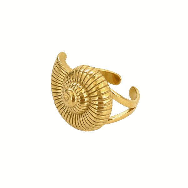 Anillo Bahía