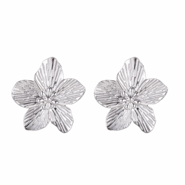 Aretes Lucía Plateados