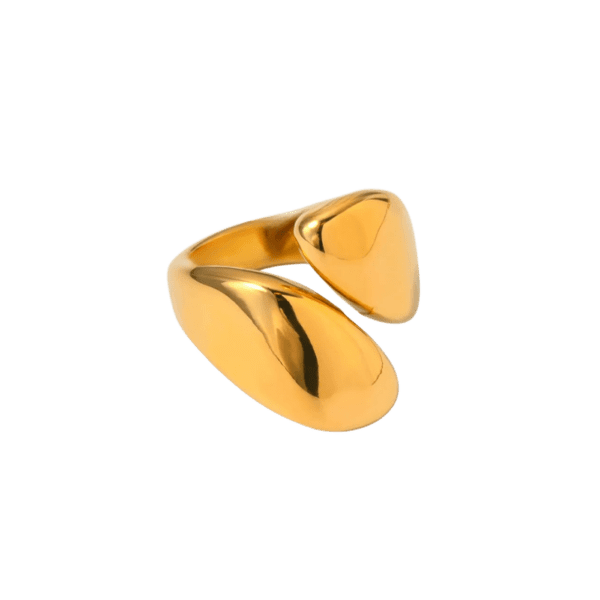 diseno-sin-titulo-53 Anillo Bally
