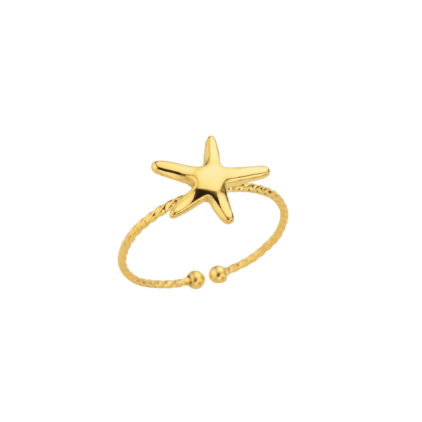 Anillo Mar