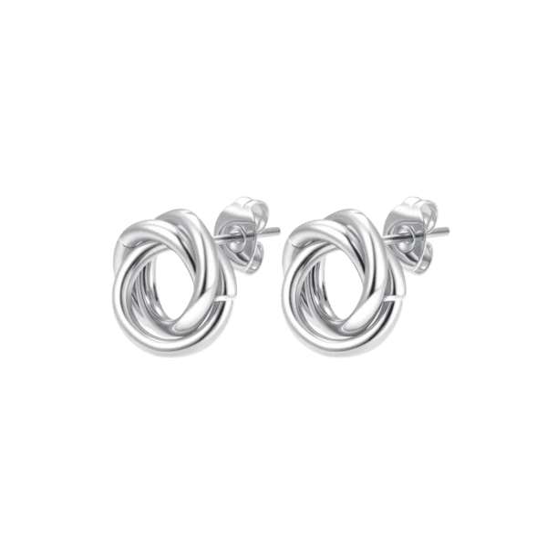 Aretes Eugenia