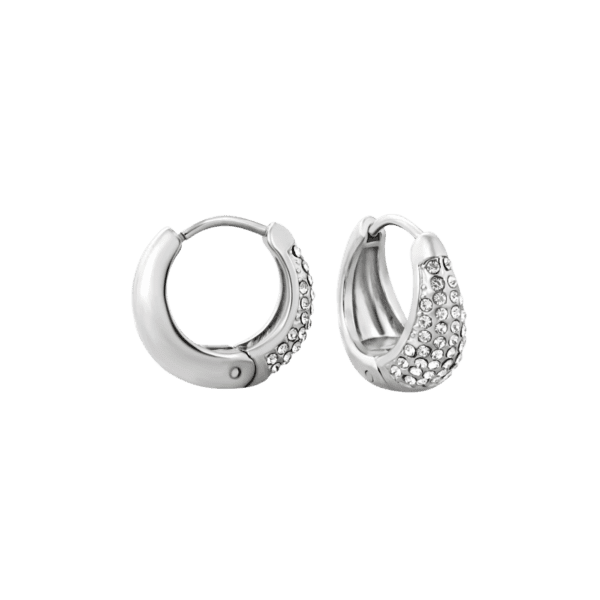 Aretes Alessis